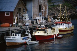 Balıkçı tekneleri
